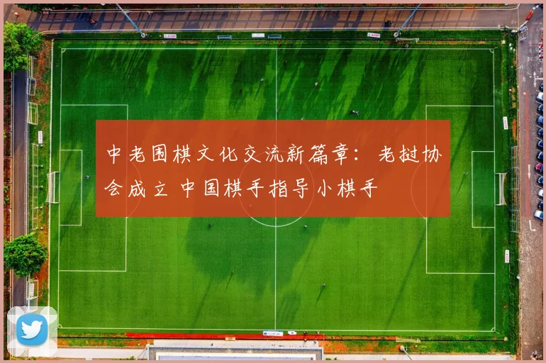 中老围棋文化交流新篇章：老挝协会成立 中国棋手指导小棋手