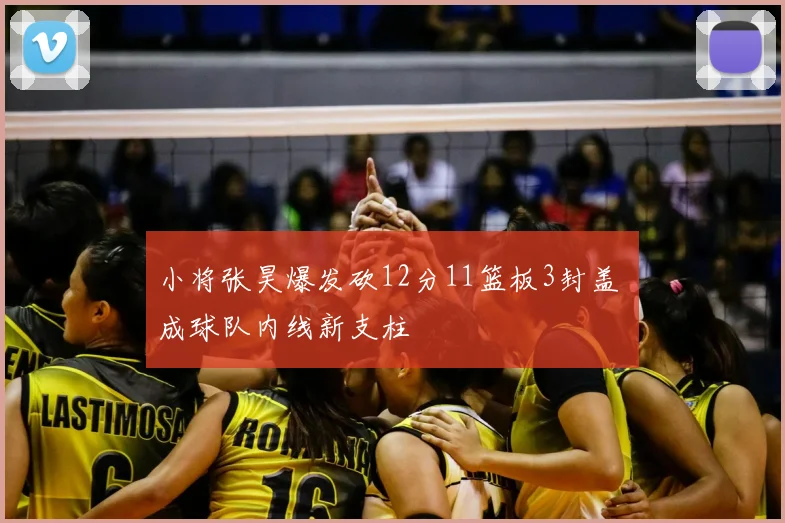 小将张昊爆发砍12分11篮板3封盖 成球队内线新支柱
