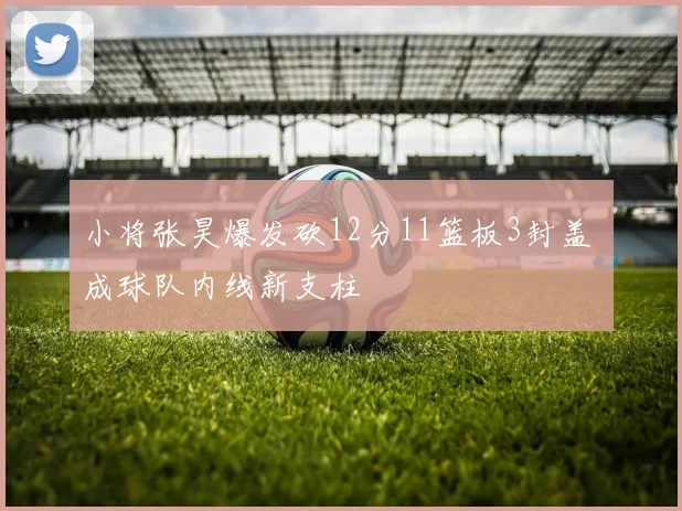 小将张昊爆发砍12分11篮板3封盖 成球队内线新支柱